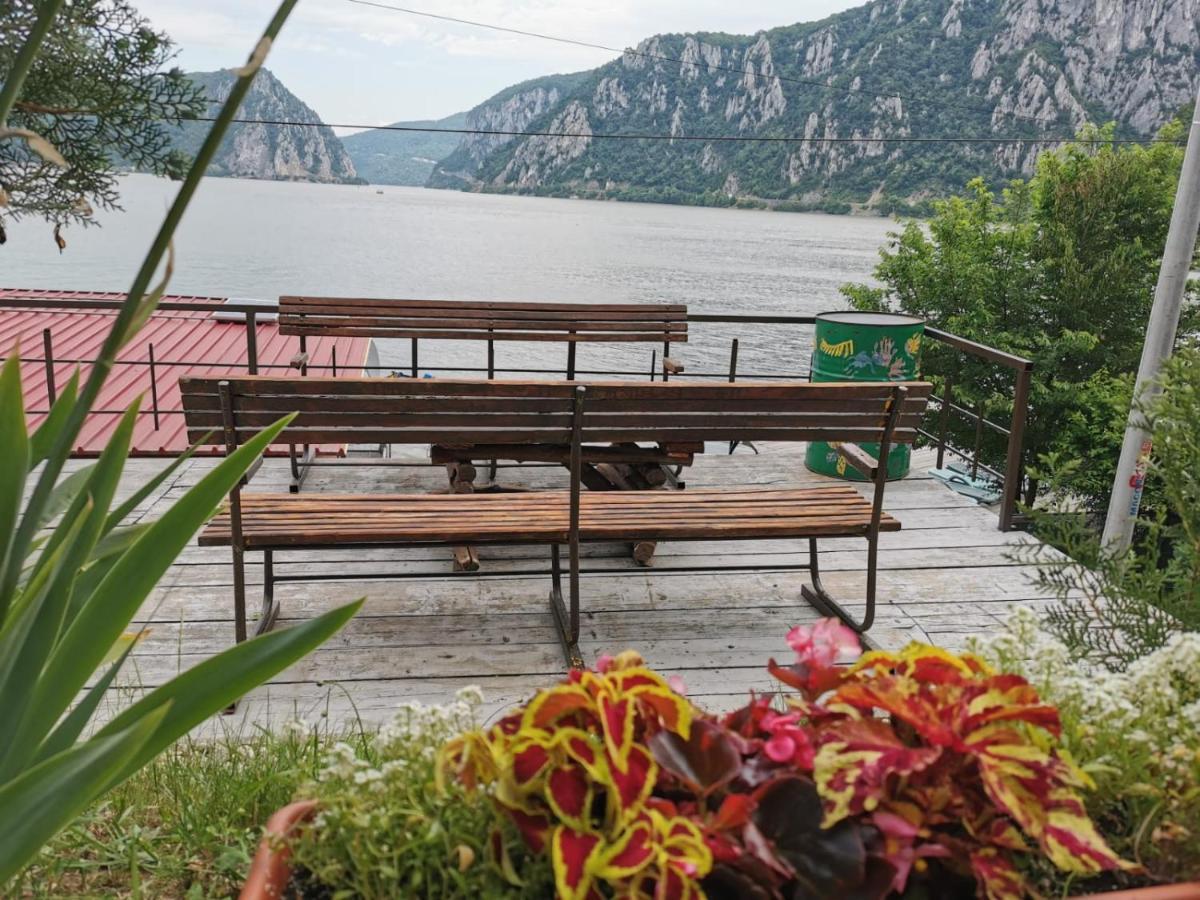 Casa Beasarah. Villa Dunatölgyes Kültér fotó