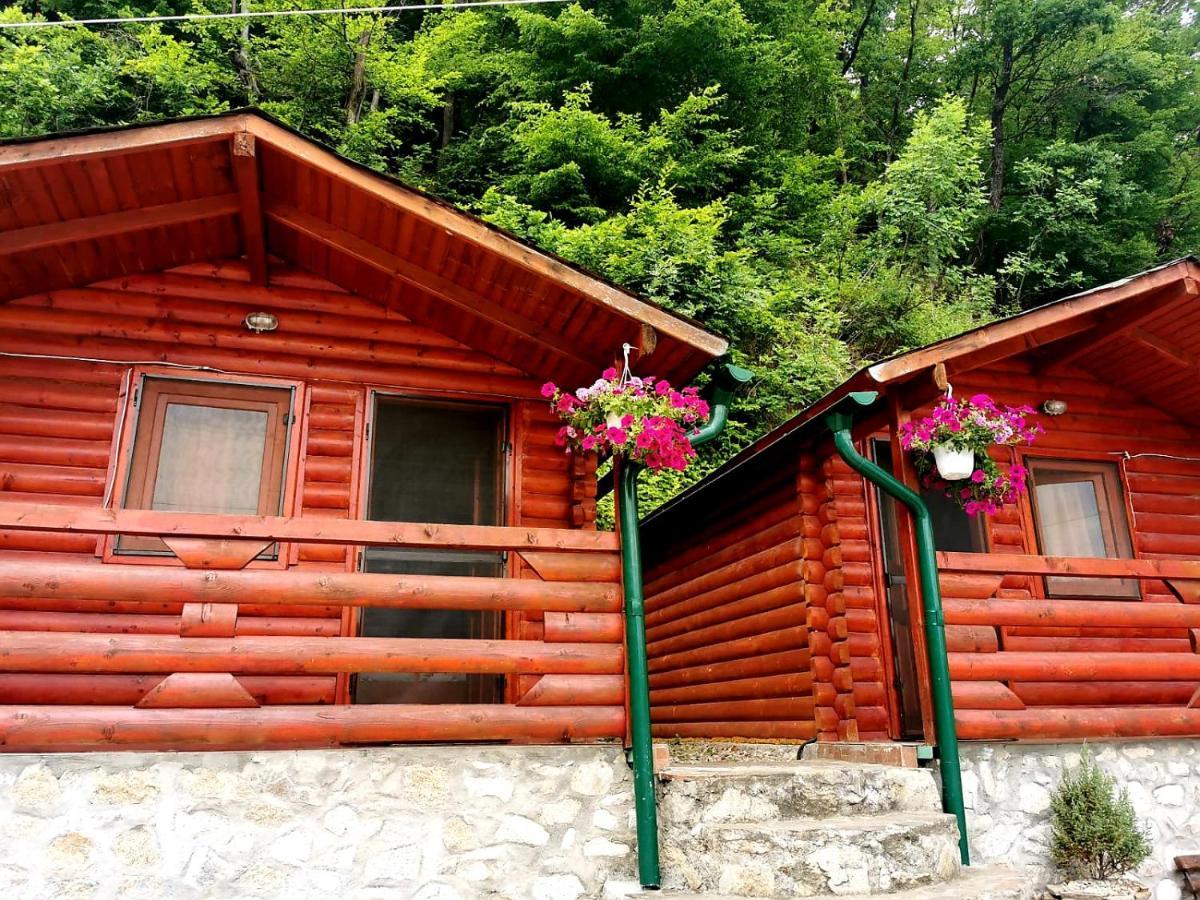Casa Beasarah. Villa Dunatölgyes Kültér fotó